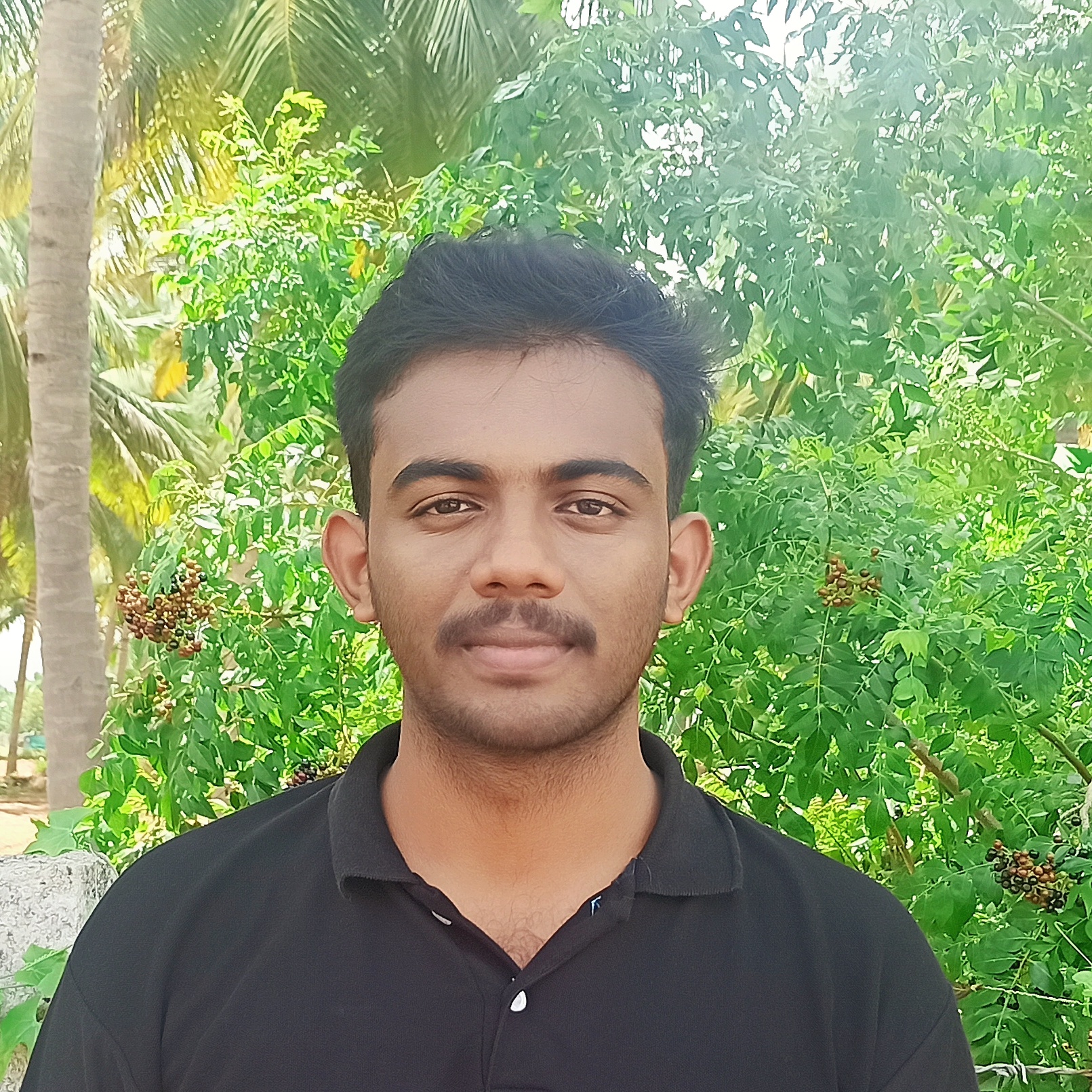 my-dp